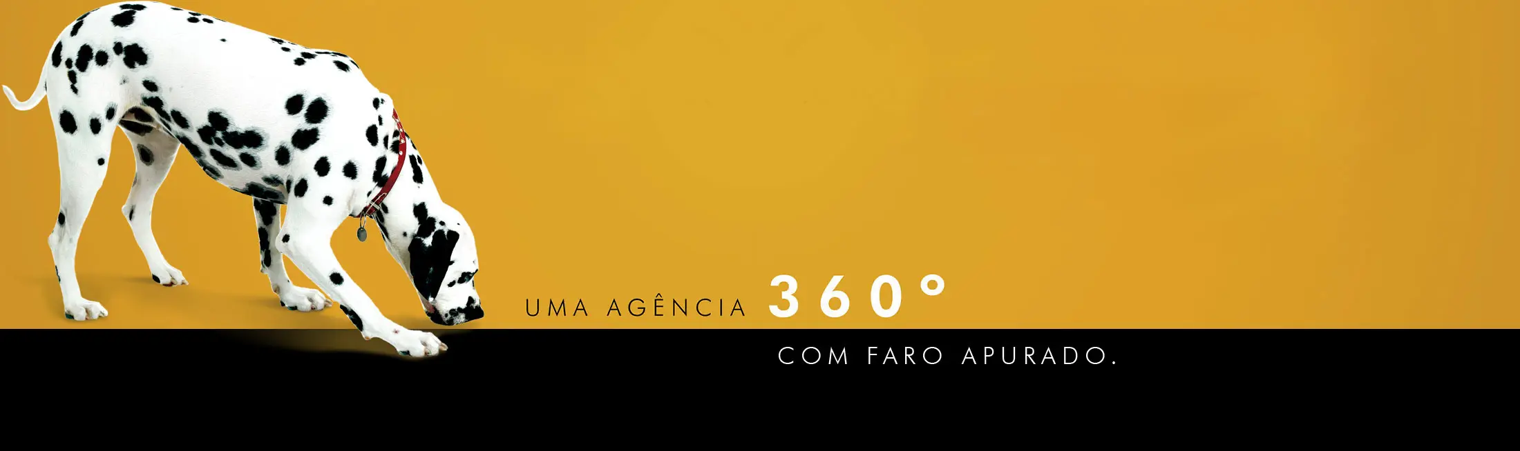 CaioCom - Serviços