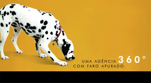 CaioCom - Serviços