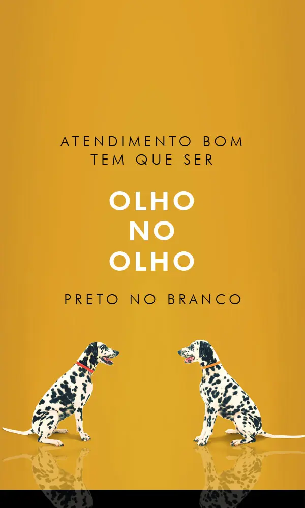 CaioCom - Projetos Imobiliários