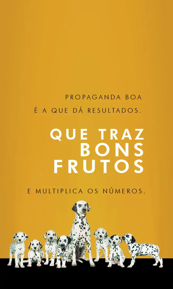 CaioCom - Estratégia e Criação